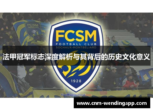法甲冠军标志深度解析与其背后的历史文化意义