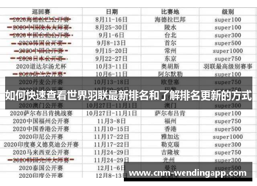 如何快速查看世界羽联最新排名和了解排名更新的方式