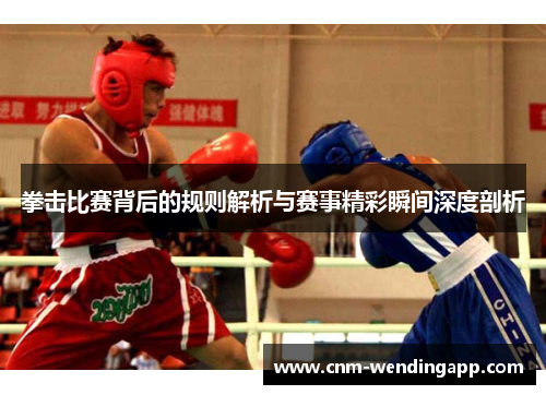 拳击比赛背后的规则解析与赛事精彩瞬间深度剖析